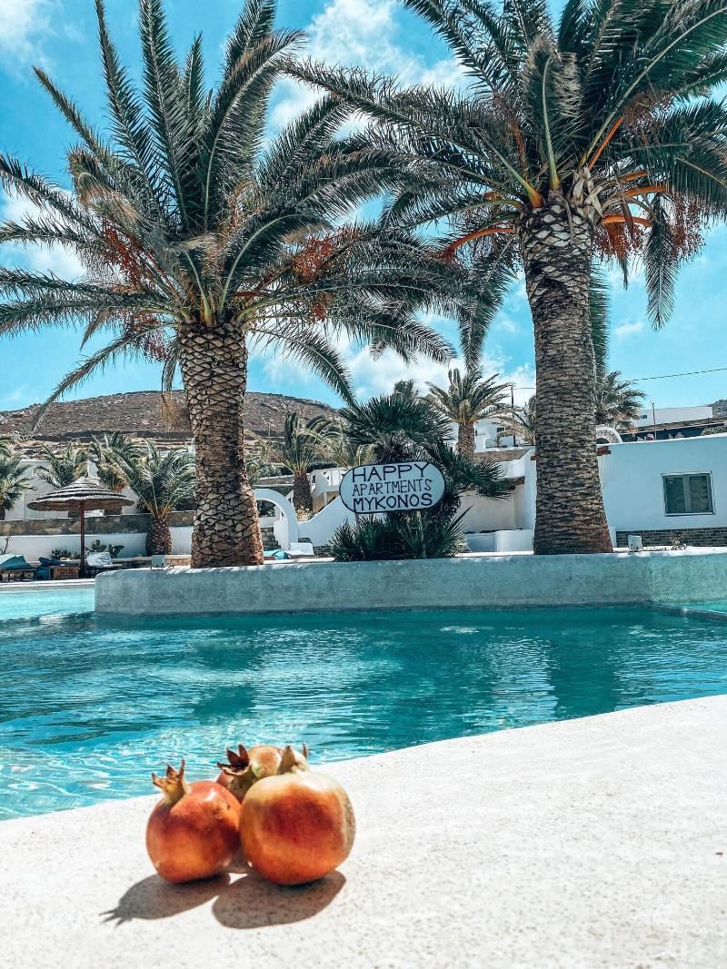 Happy Apartments Mykonos Mykonos Town Zewnętrze zdjęcie